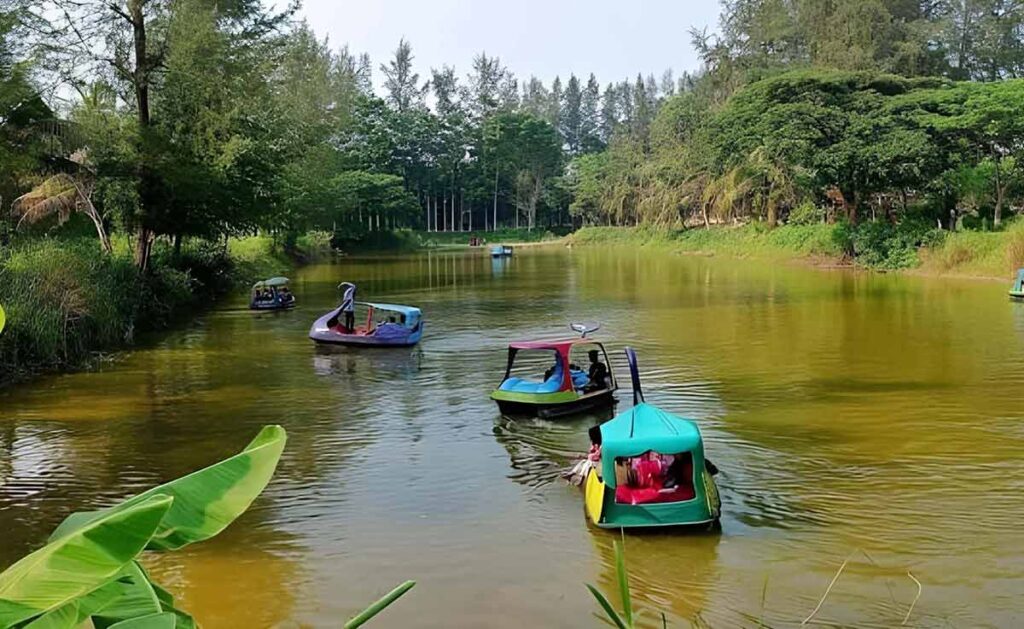 সোয়ান বোট - নোয়াখালী ড্রিম ওয়ার্ল্ড পার্ক